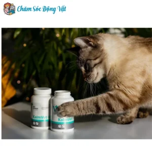 Giảm Căng Thẳng và Rối Loạn Hành Vi Ở Thú Cưng Với Sản Phẩm KalmVet Vet Expert