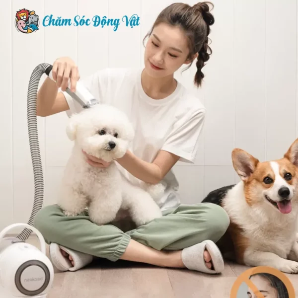 Thiết Bị Chăm Sóc Thú Cưng NEAKASA P1 PRO